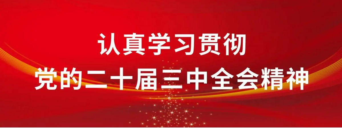 2024年三中全会心得体会